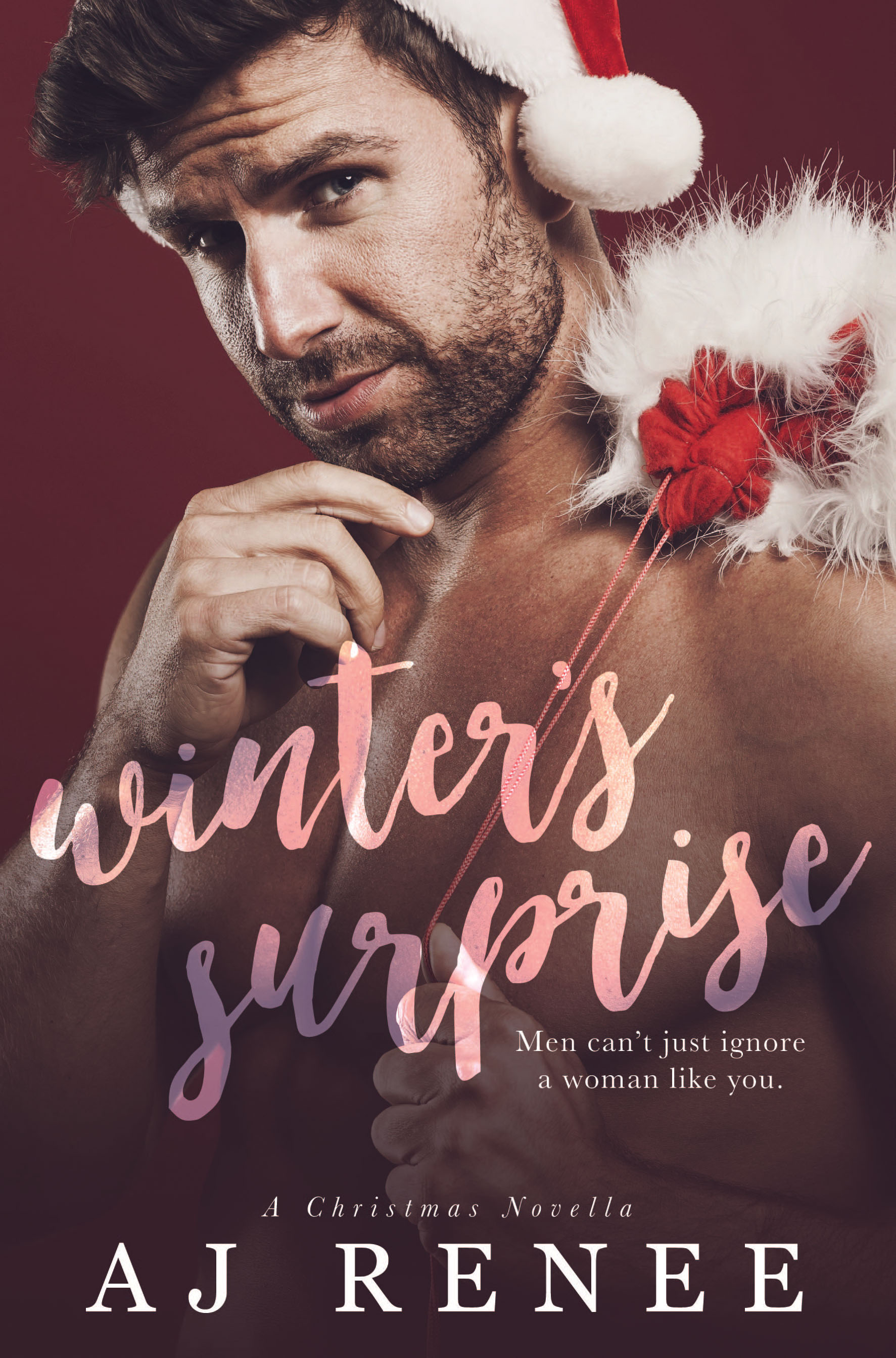 Winter's Surprise AJ Renee Holiday Romance