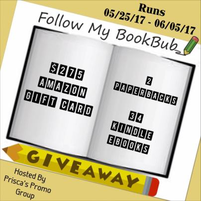 Bookbub giveaway